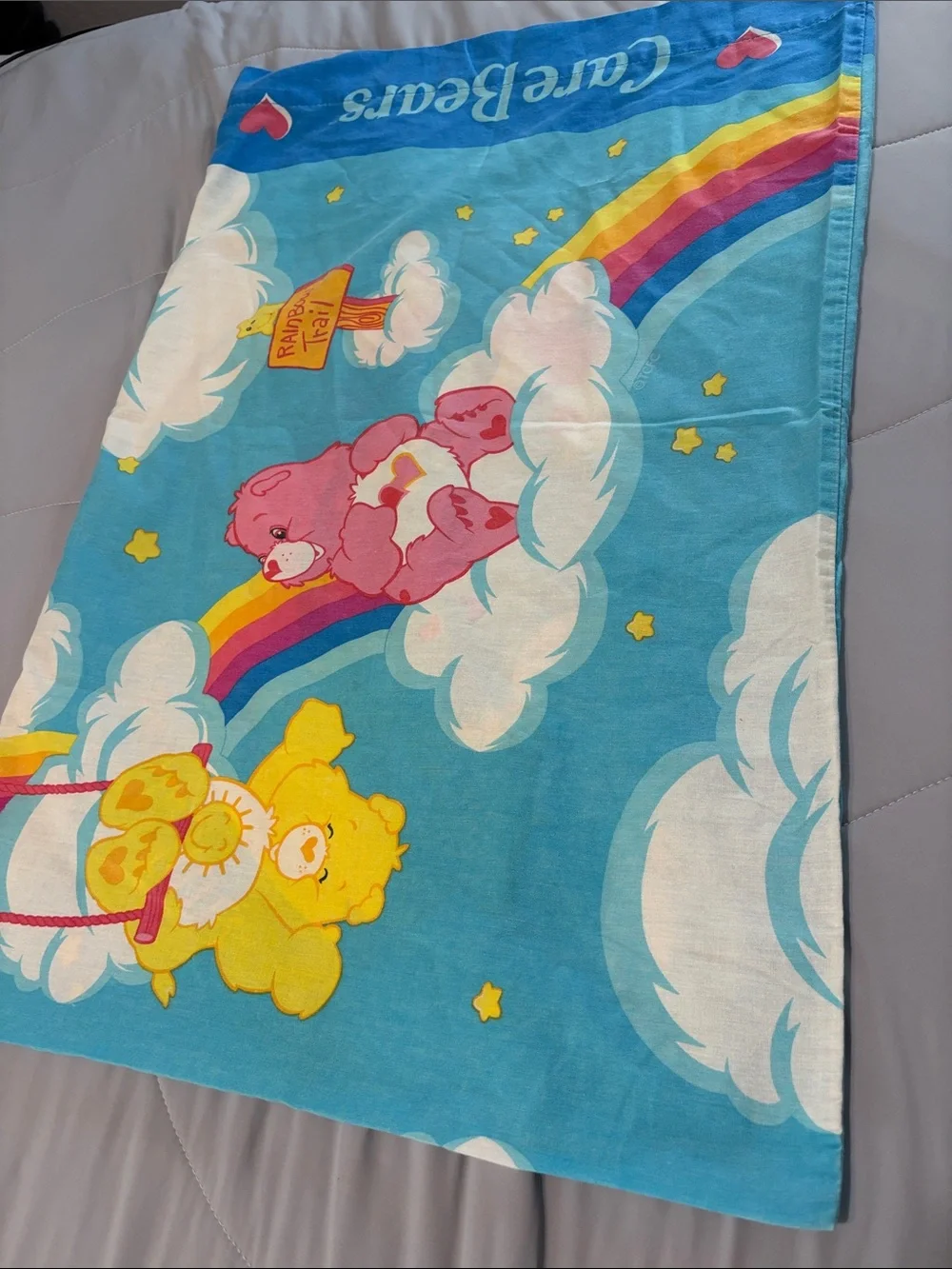 Care Bears Vintage Pillowcase Catch Some Fun